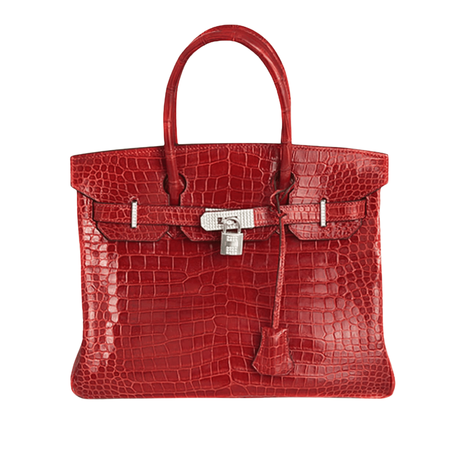 Untitleddesign_54 Hermès Bag | Birkin Croc - Image 1