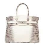 Her.mes | Birkin 30 Himalaya Niloticus Crocodile Handbag
